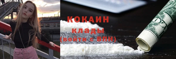 крисы Арсеньев