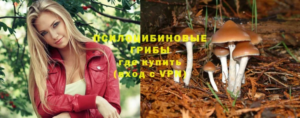 крисы Арсеньев