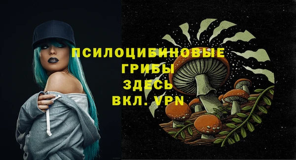 крисы Арсеньев