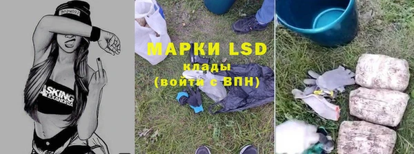 apvp Остров