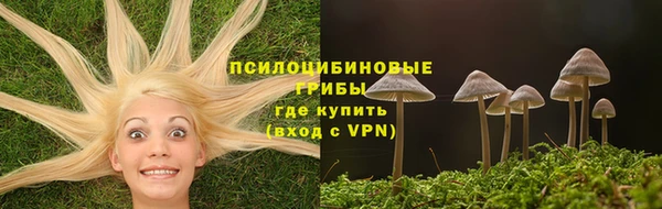 таблы Осинники