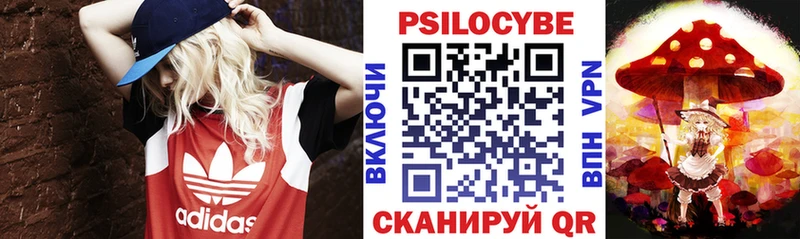 mega зеркало  цена наркотик  Реутов  Псилоцибиновые грибы MAGIC MUSHROOMS 